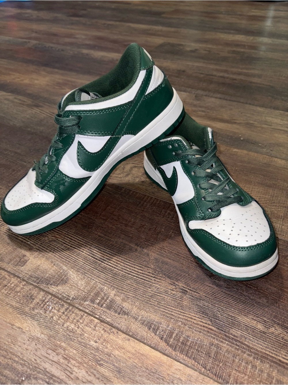 Nike Dunk Low Bicoastal Green Sneakers, Size Woman’s Size 8 DD391.101